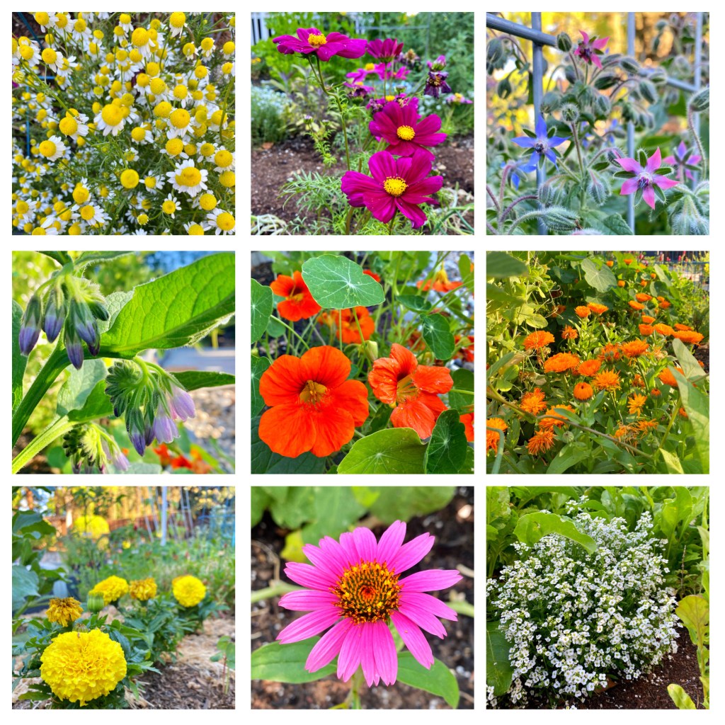 This image has an empty alt attribute; its file name is img-5245.jpg